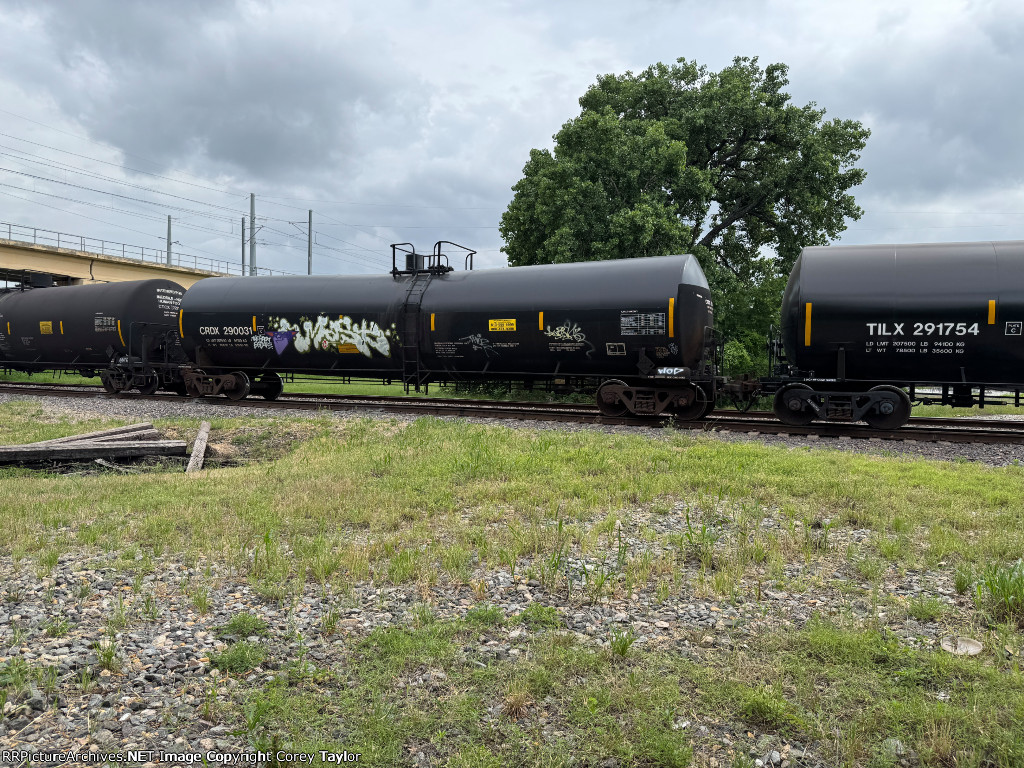 CRDX 290031